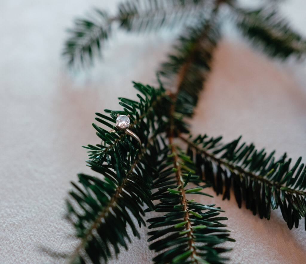 Wedding ring on winter greenery 