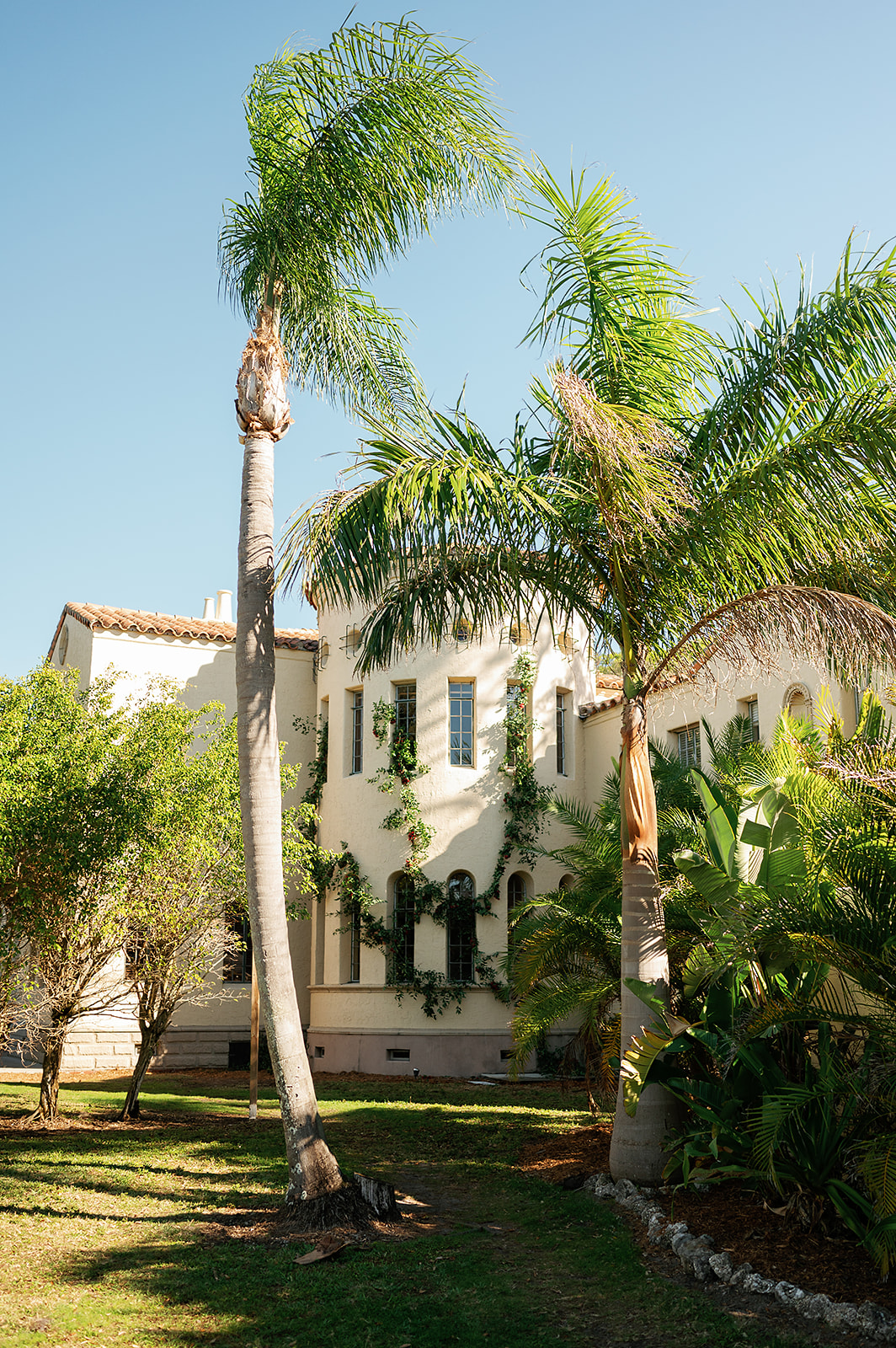 Details of the Powel Crosley Estate Wedding venue palm trees and vine covered wall