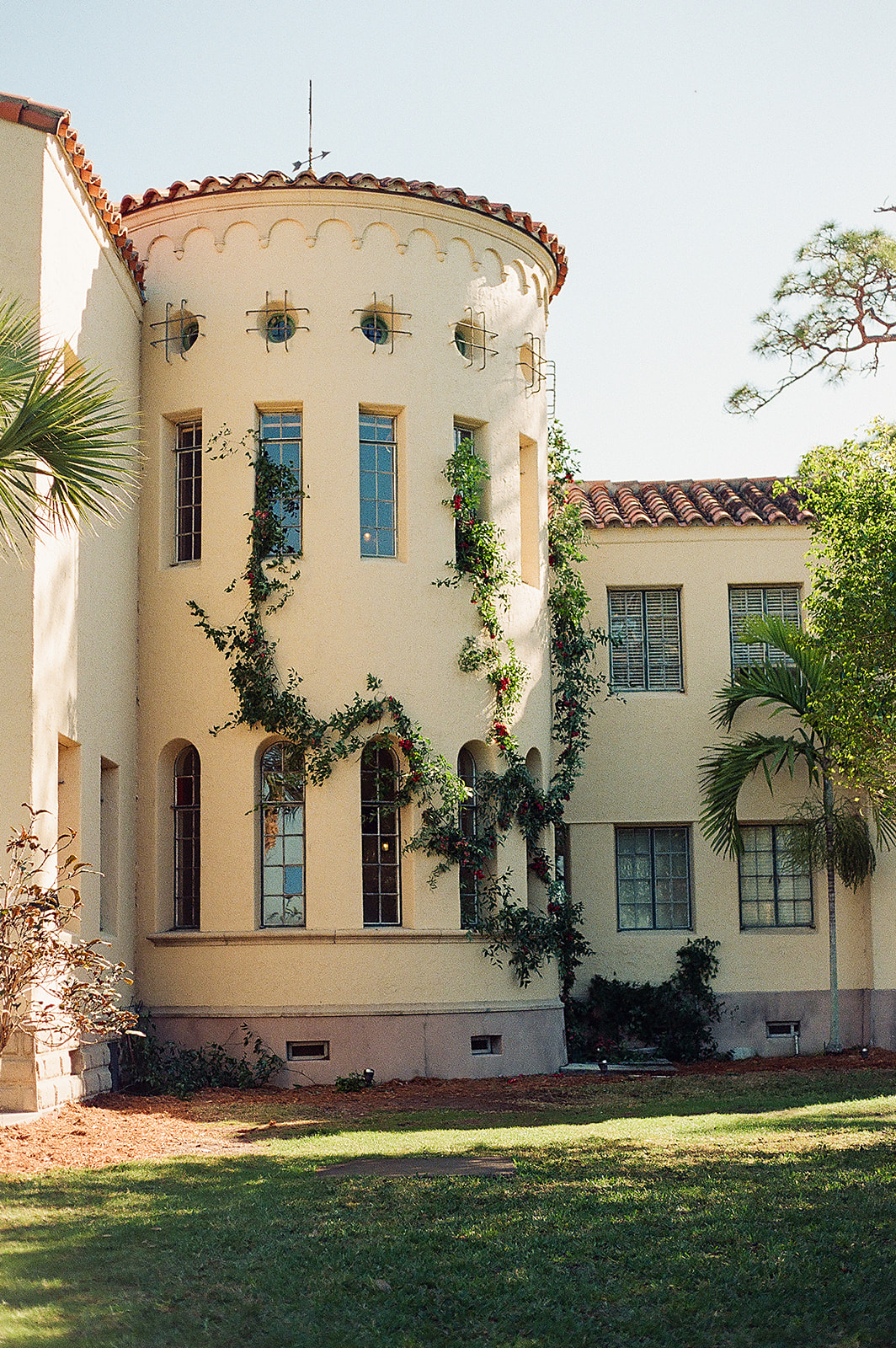 A view of the back gardens and vine covered walls of a spanish style estate